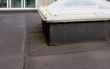 disadvantages of Woodram flat roofs