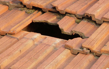 roof repair Woodram, Somerset